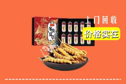 凉山会东县回收虫草